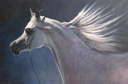 Horse Painting Commissions