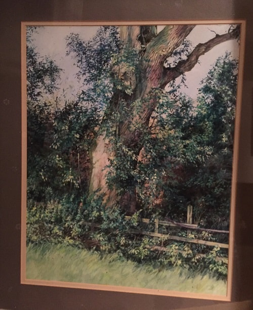 Painting of an old tree